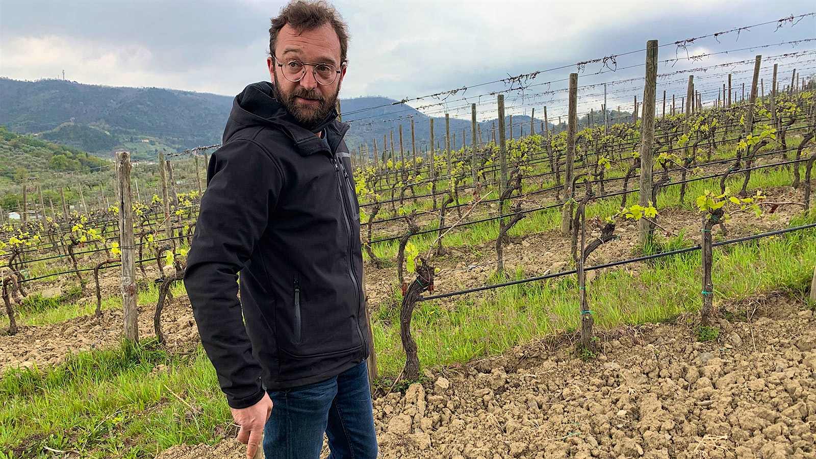 Agricultural manager Gaddo Contini Bonacossi in one of Capezzana's sloping vineyards on an early spring day